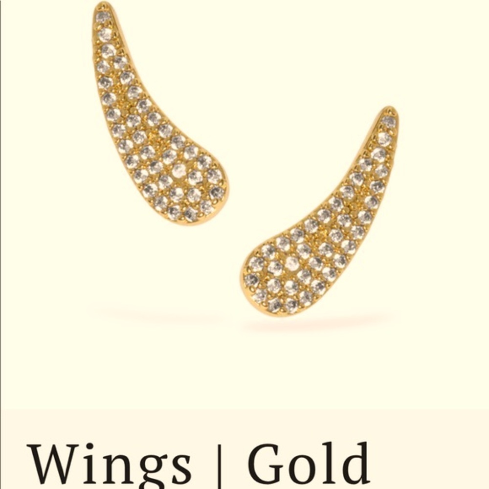 Beautiful Uncommon James Wing Earrings!